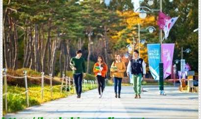 Du học Hàn Quốc ngành quản trị kinh doanh