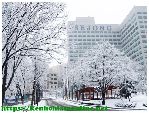 học phí đại học korea