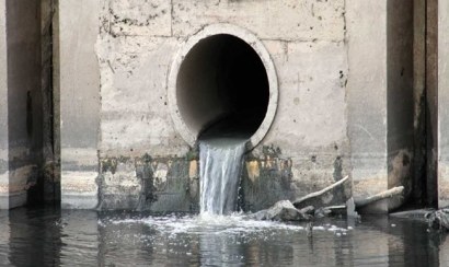 Bùn vi sinh là gì và các thành phần chính của bùn vi sinh