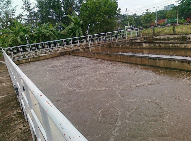 mua b&ugrave;n vi sinh gia re 2022