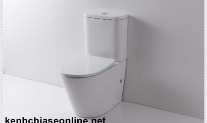 Cách thông bồn cầu bị nghẹt siêu nhanh chóng