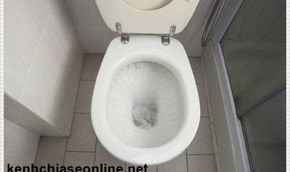 Bồn cầu trào ngược nước