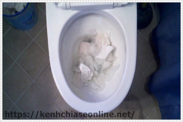 cách thông bồn cầu