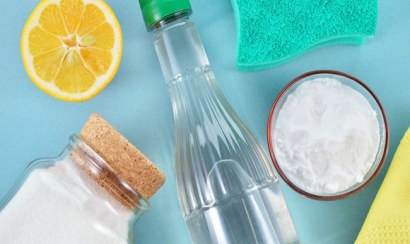 Tổng hợp cách khử mùi khai trong phòng hiệu quả