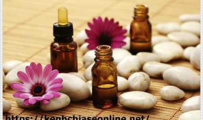 Cách làm sạch vết nước tiểu trên ghế ngồi bồn cầu